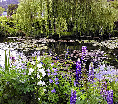 Spring In Giverny #1 Print