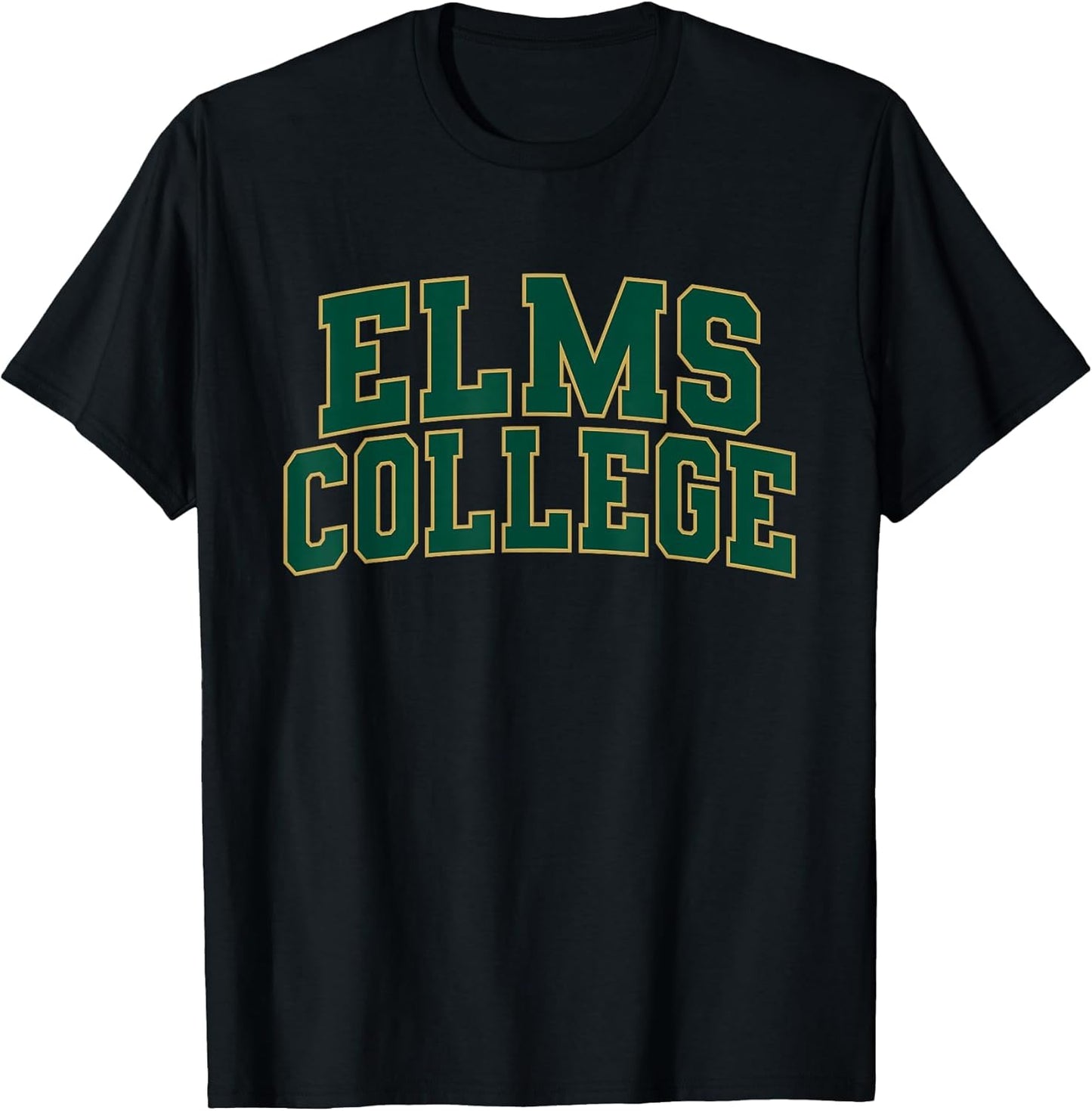Elms College Athletic Sports Fan
