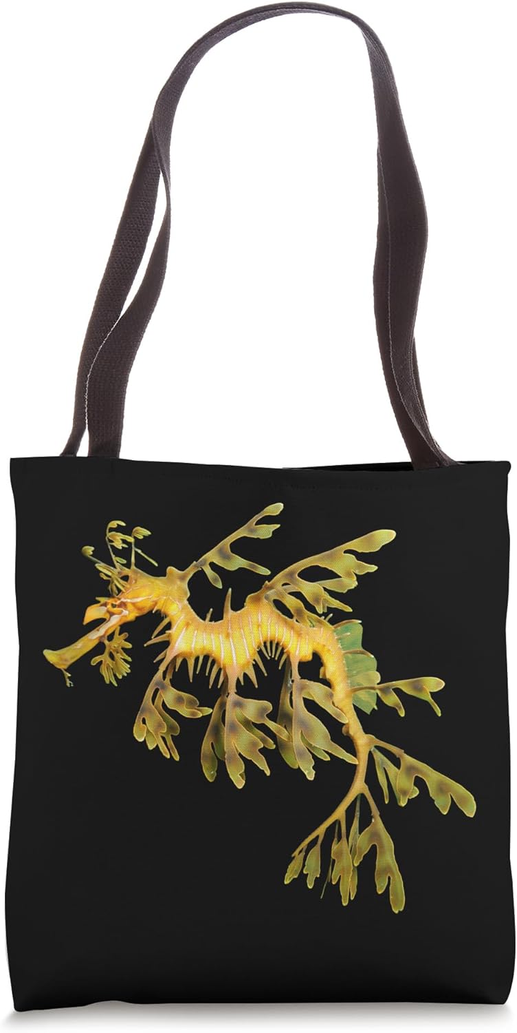 Leafy Sea dragon Seahorse
