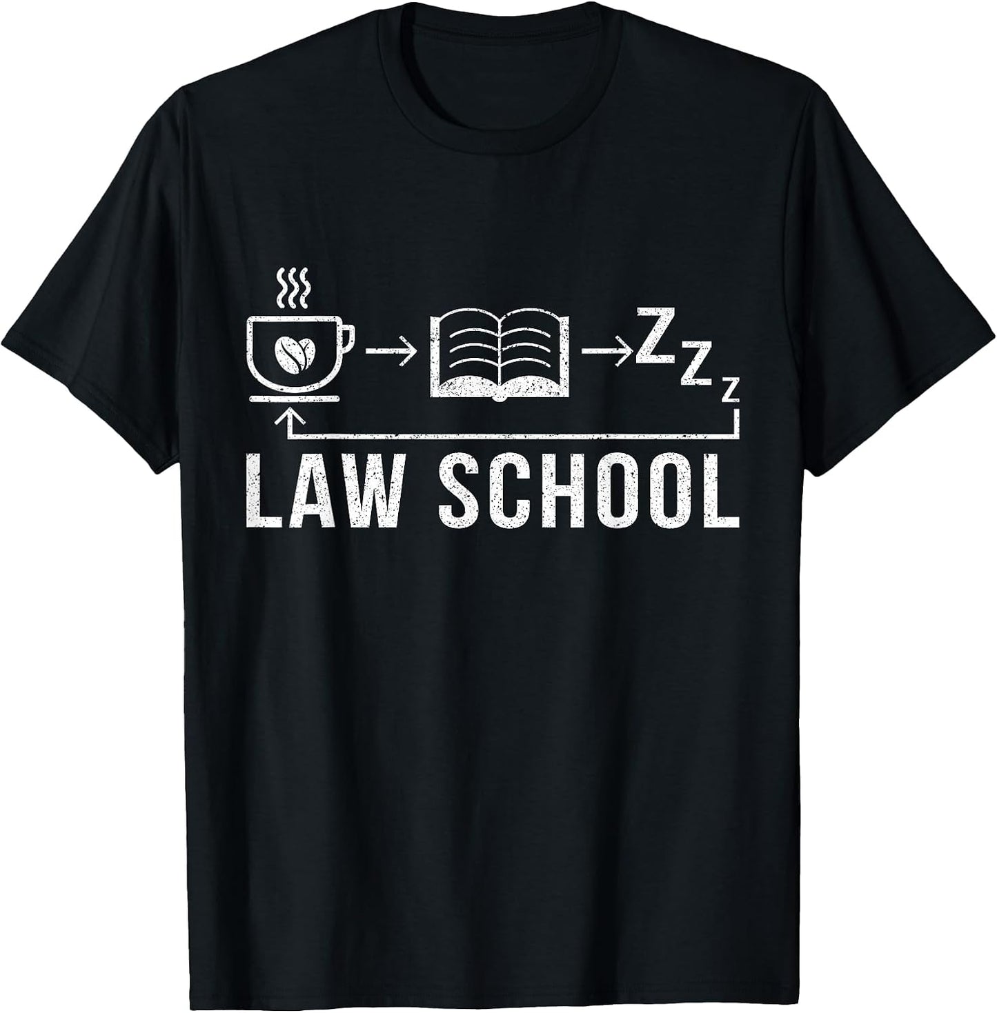 Law School Student Lawyer