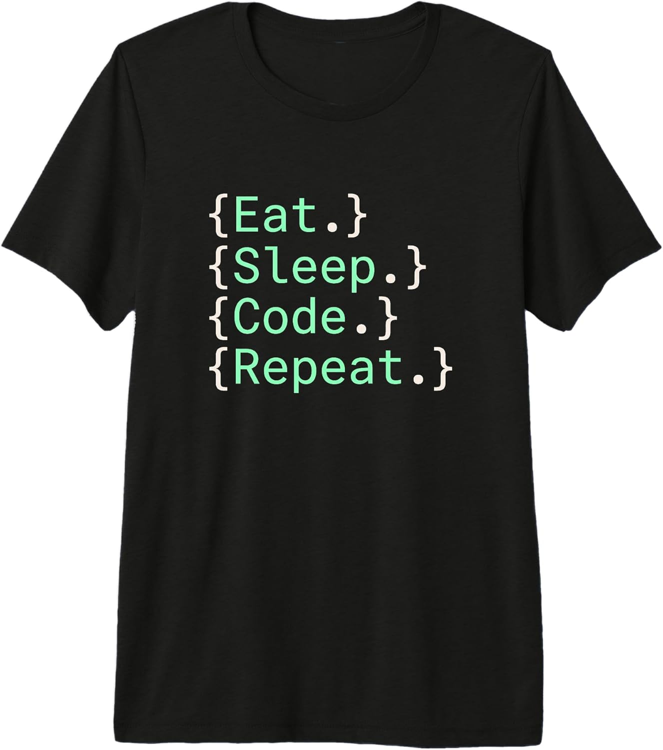 Computer Programming And Software Engineering