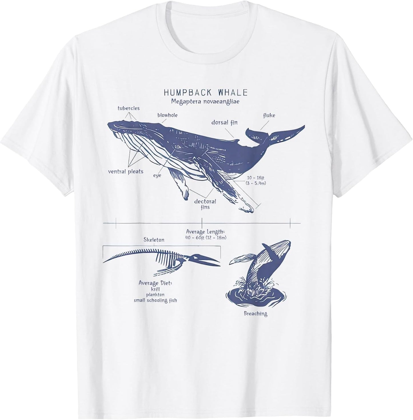 Marine Biologist Tee
