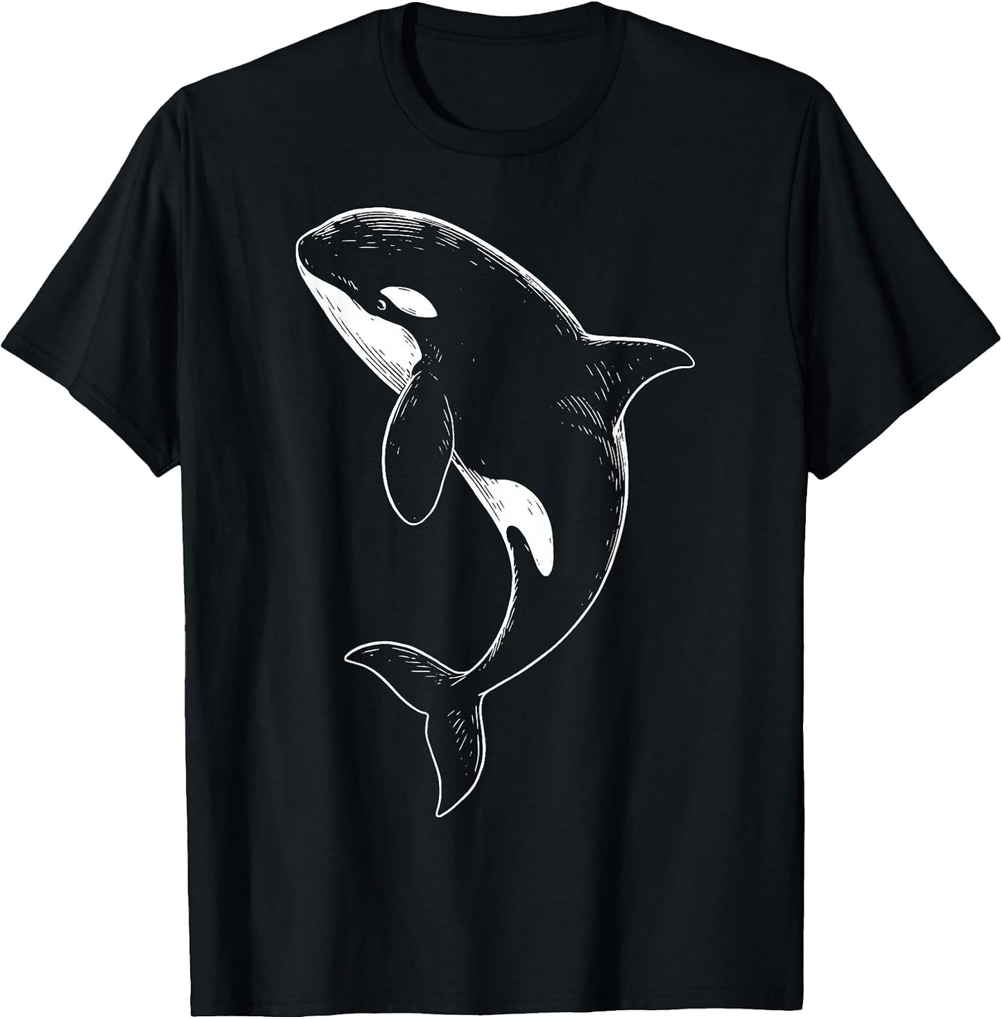 Aquatic Animal Ocean Underwater Scuba Diver