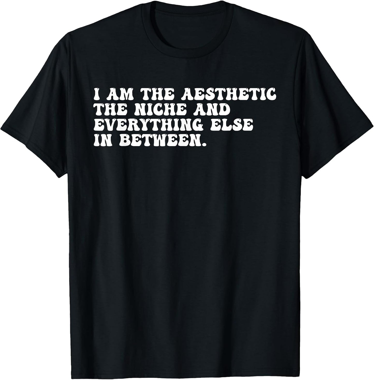 The Aesthetic The Niche Everything Else In Between