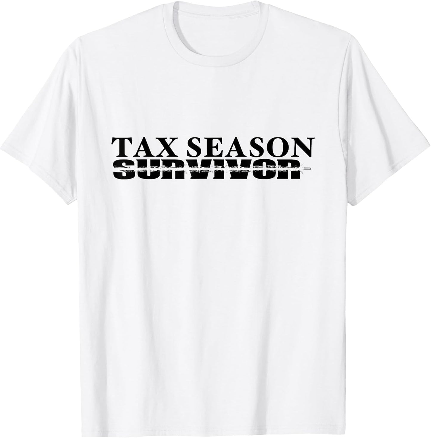 Tax Season Accountant by Qfire