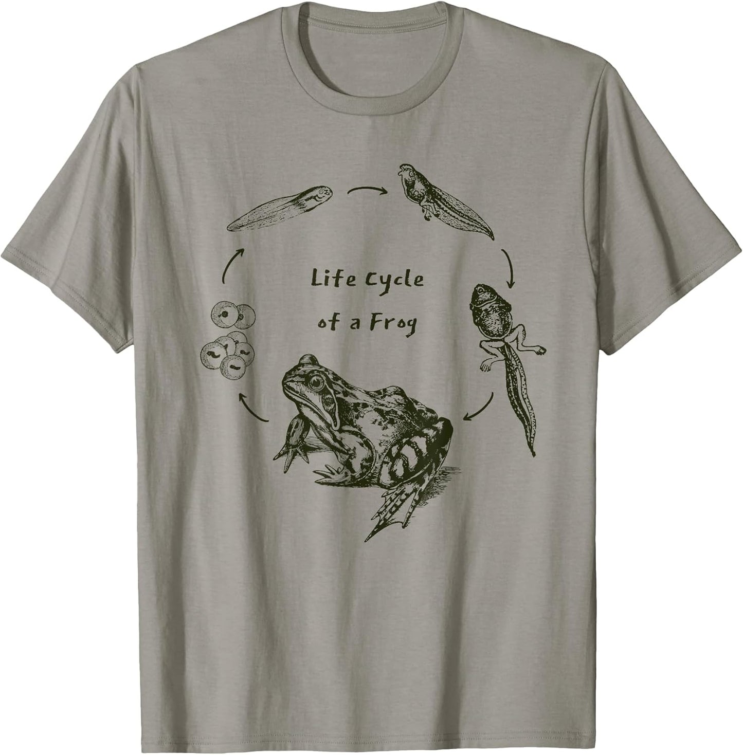 Life Cycle of a Frog Science Merch