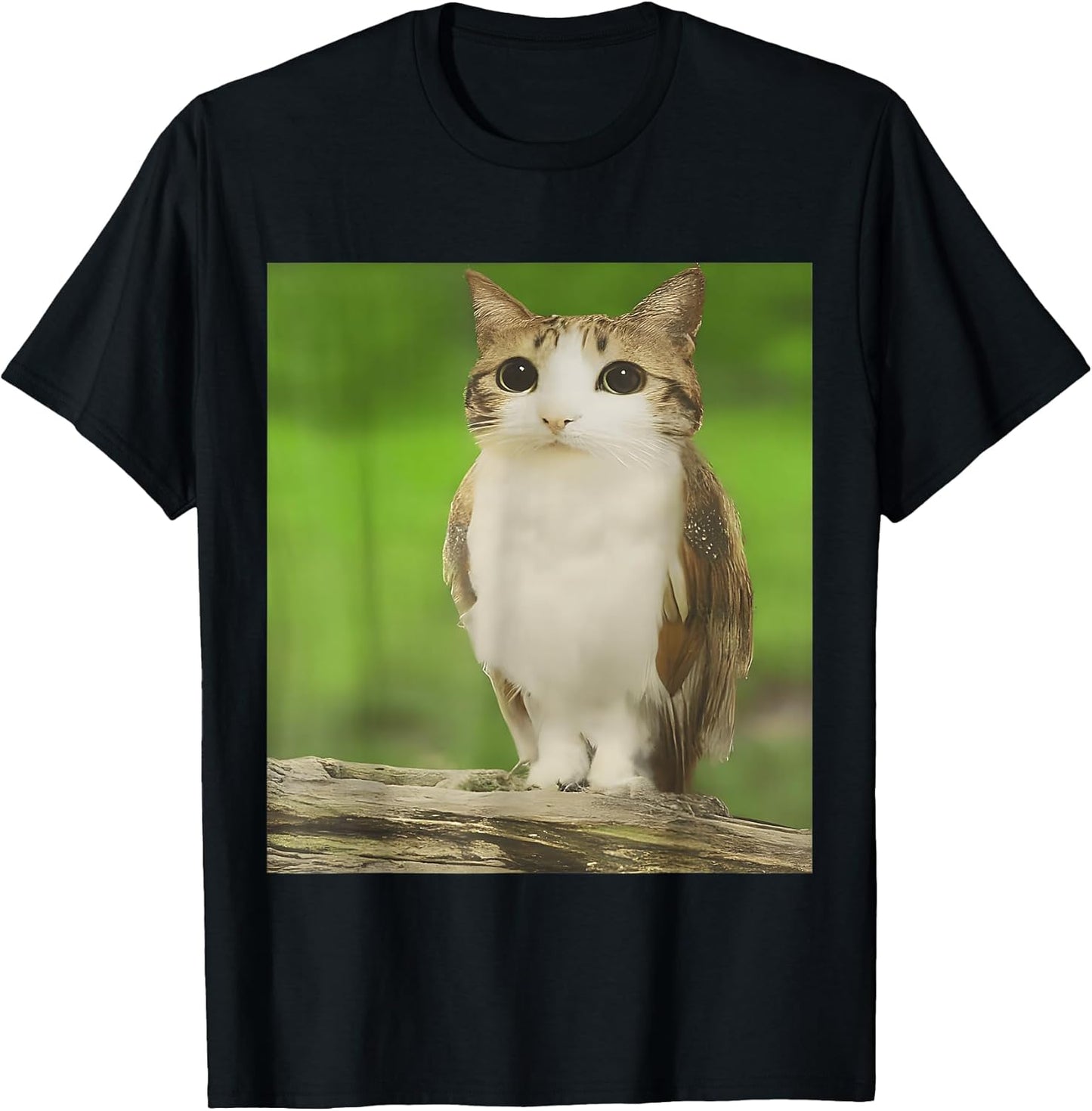 Cat Owl Funny Viral Meme Trend