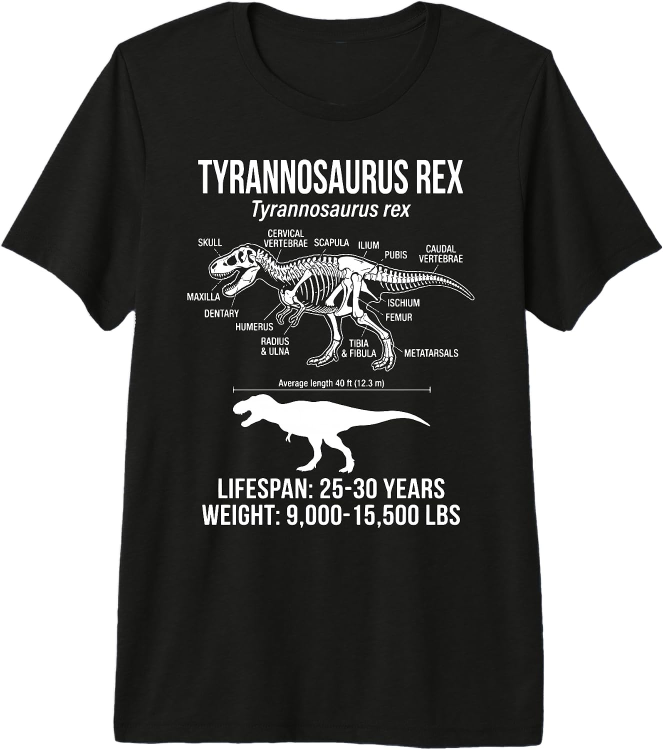 T-rex Dinosaur Paleontology