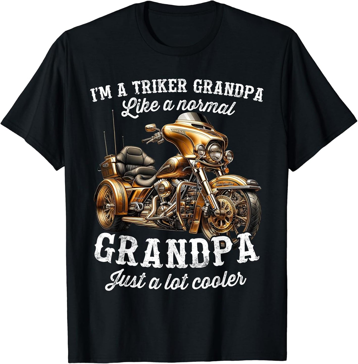 Trike Motorcycle Triker Dad Merch