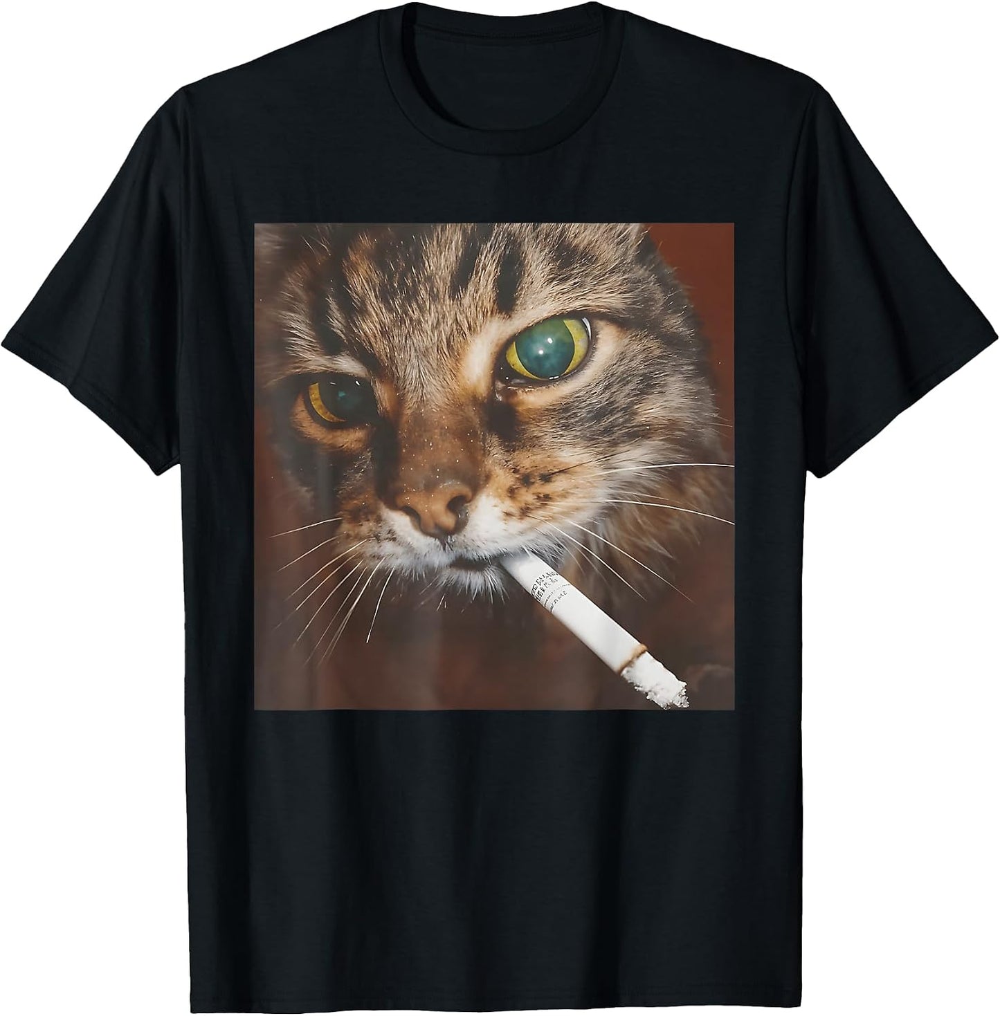 Funny Smoking Cat Meme