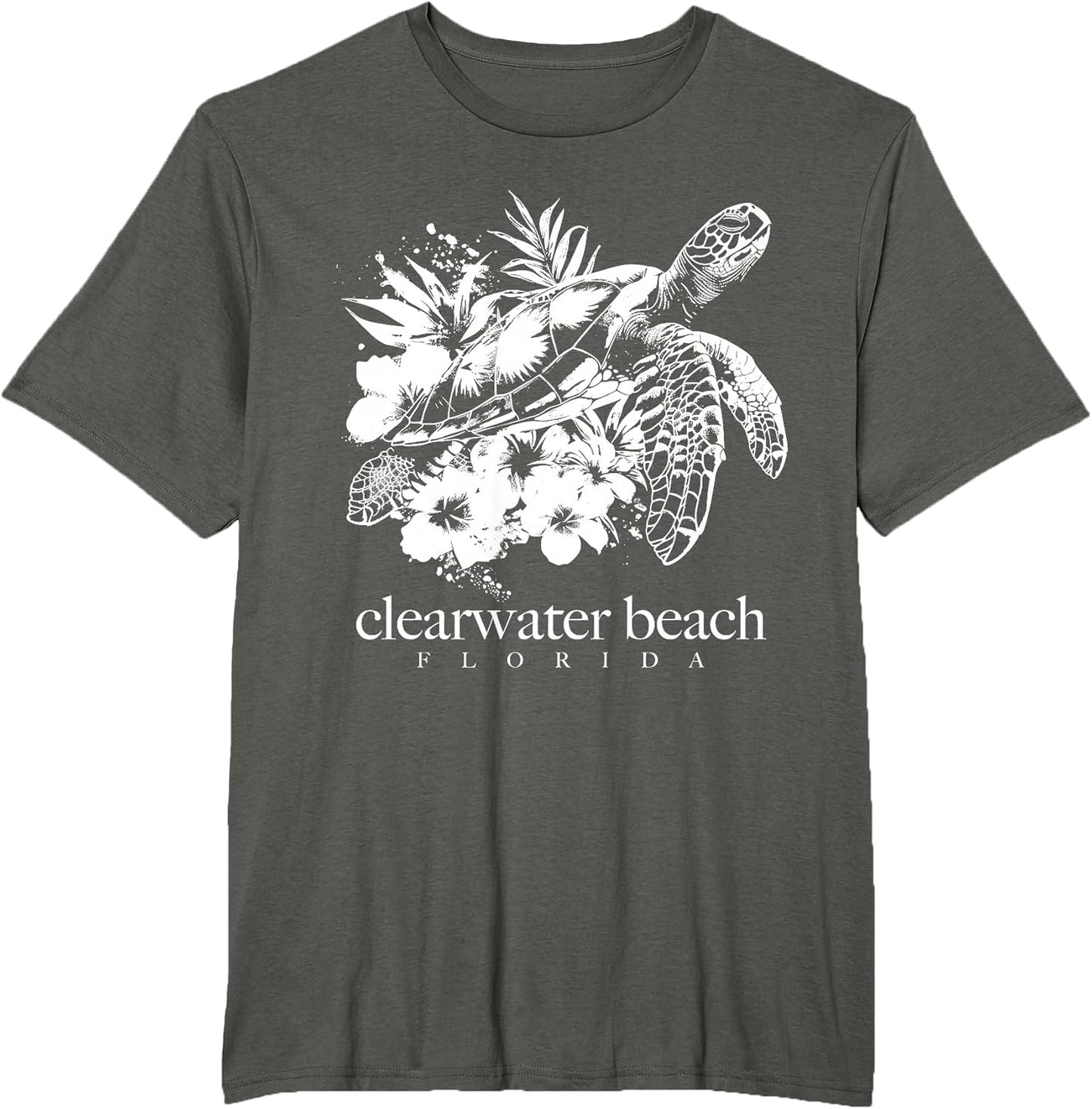 Clearwater Beach Florida- Sea Turtle Surfer Co.
