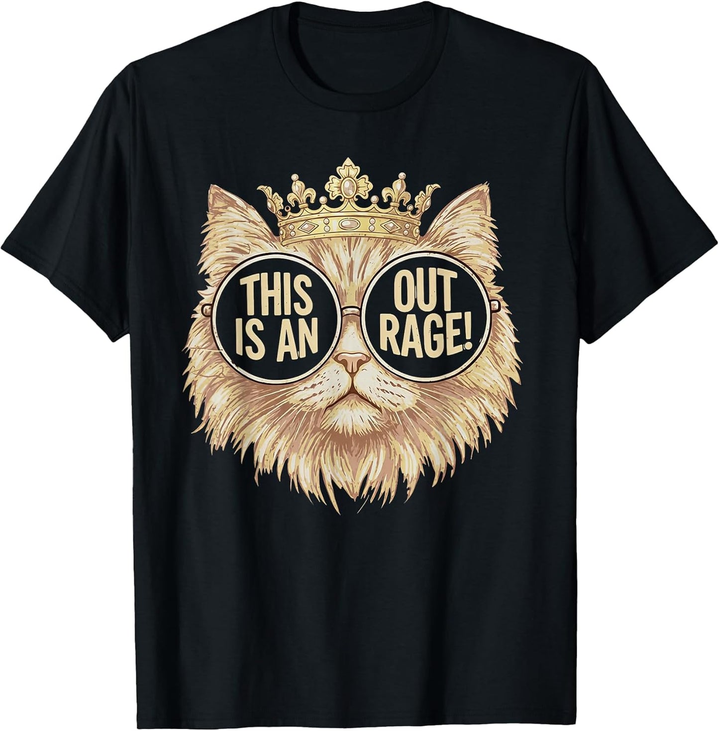 This is an Outrage Meme Funny Princess Cat Sarcastic Quote T-Shirt