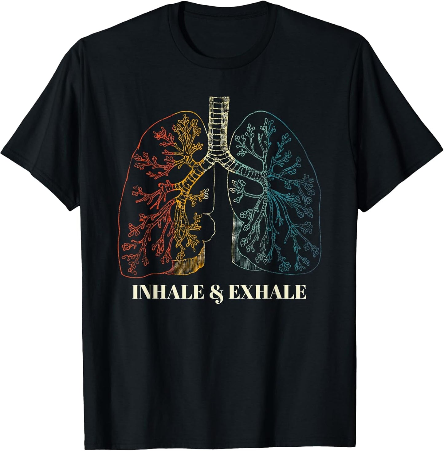 Human Lungs Anatomy Inhale Oxygen Gifts Store