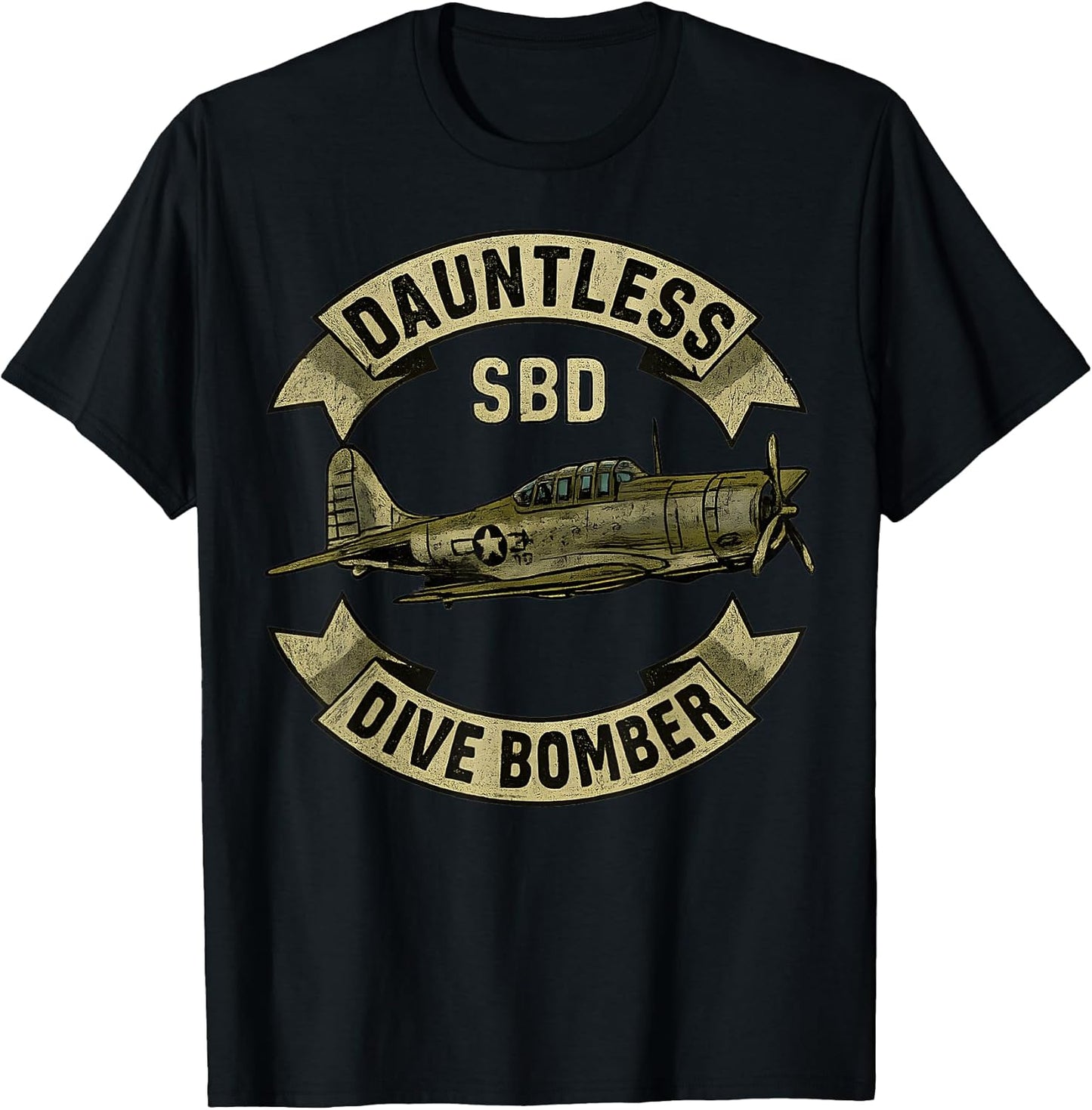 WWII Airplane Warbird Gift