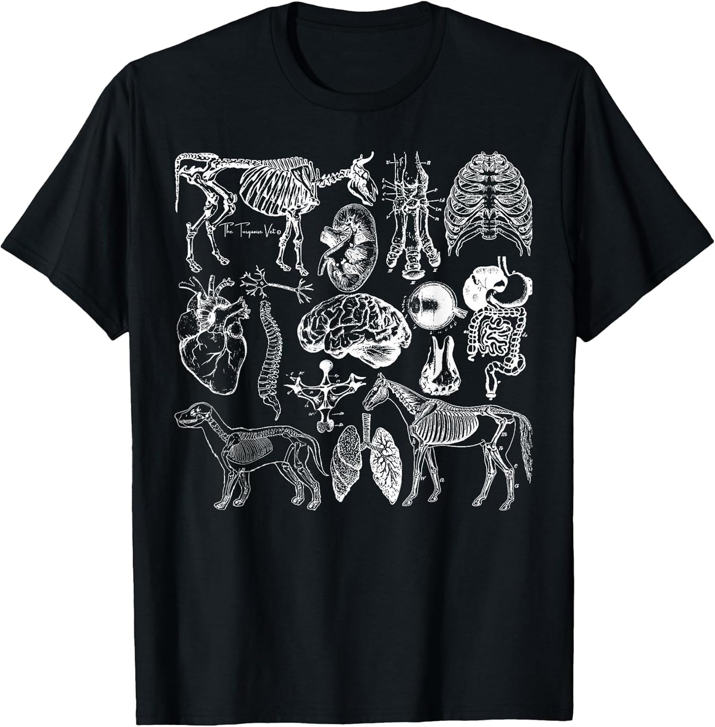 Veterinary Anatomy