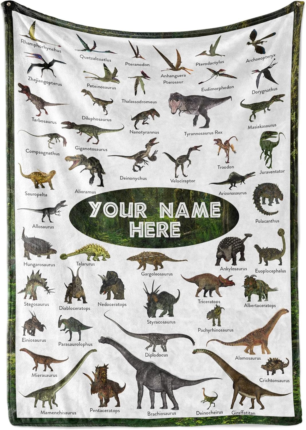 Personalized Dinosaur Blanket for Kids, Ships Next Day - Dino Throw Blanket for Boys and Girls, Toddler Bed, Room & Bedroom Decor - Educational Blankets for Children - USA Based (Fleece - 50x60)