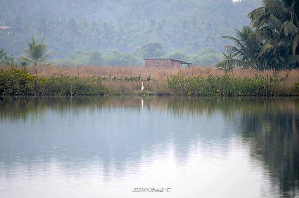 A Serene Moment Print