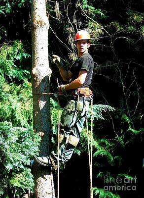 Anthony The Tree Cutter In The Pacific Northwest Print