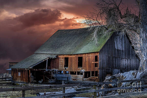 Barn Washoe Valley Nevada Print