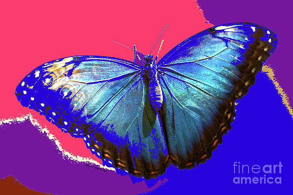 Blue Butterfly Print
