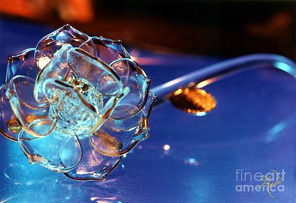 Crystal Rose Print