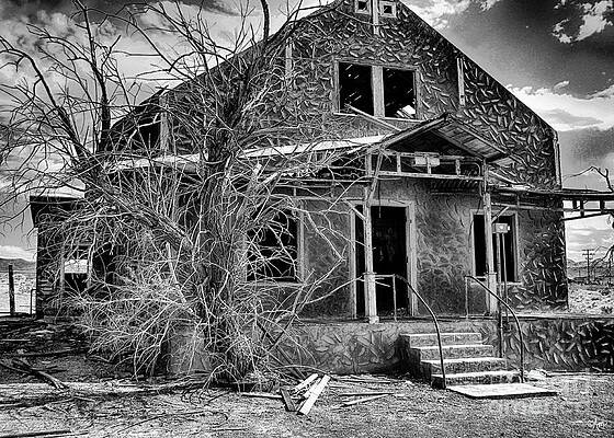 Desert Remains Print
