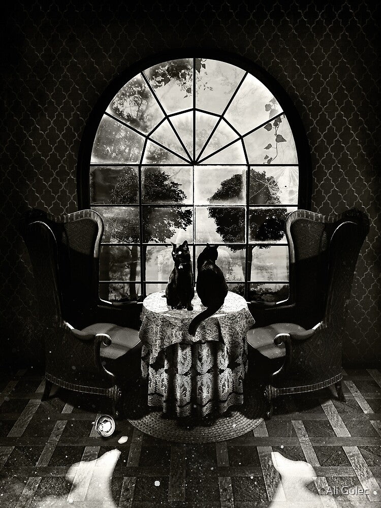 Room Skull by Ali Gulec