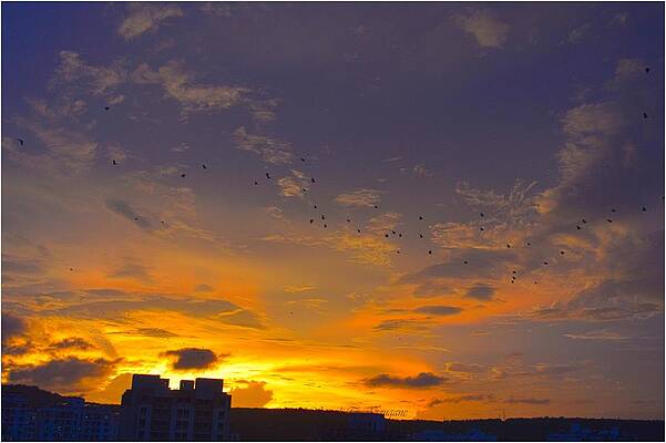 Golden Evening Print