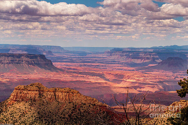Grand Canyon North Rim Print