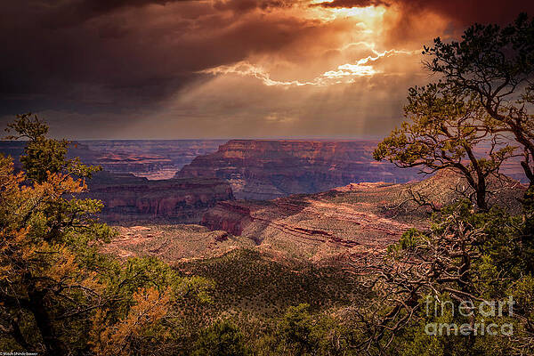 Grand Canyon North Rim Spring Print