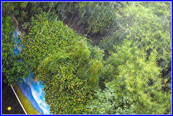 Its Raining Print