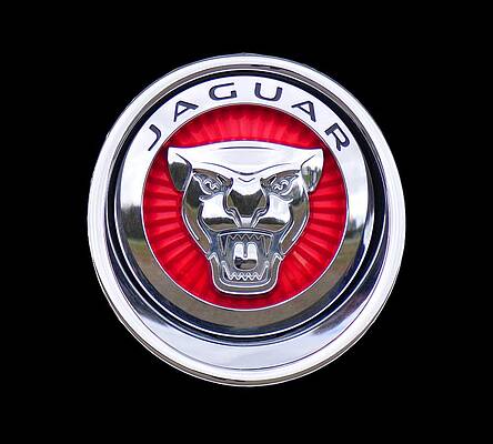 Jaguar Emblem Print