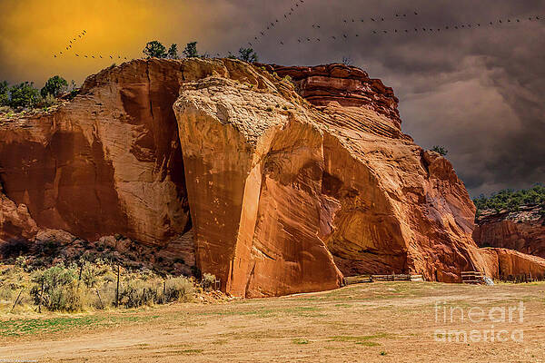 Johnson Canyon Kanab Utah Print