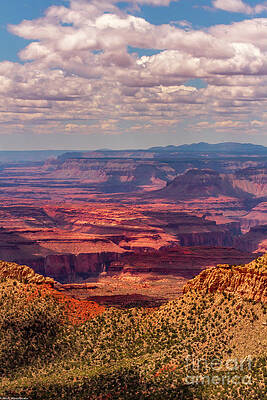 Light In The Canyon Print