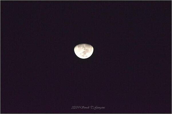 Lunar Phase Print