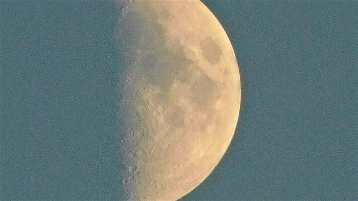 Moonlit Love Print