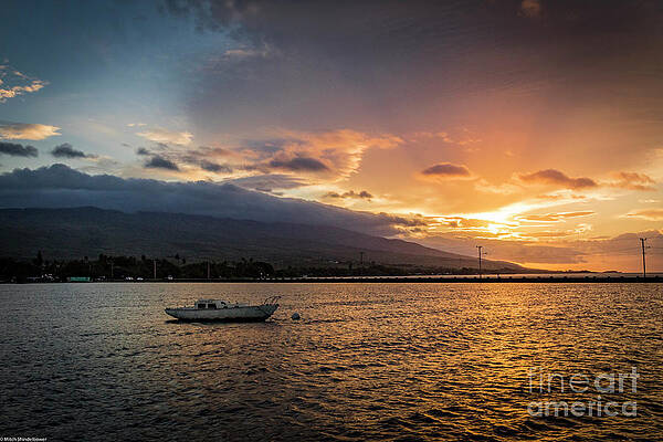 One Particular Harbour Print
