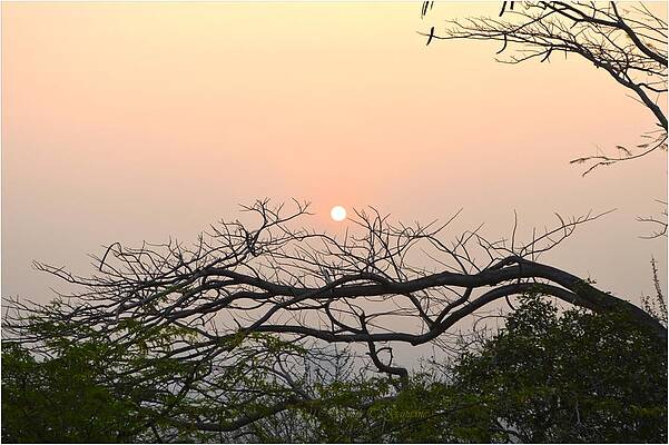 Parvati Sunrise Print