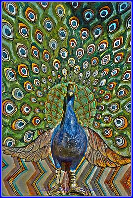 Peacock Mural Print