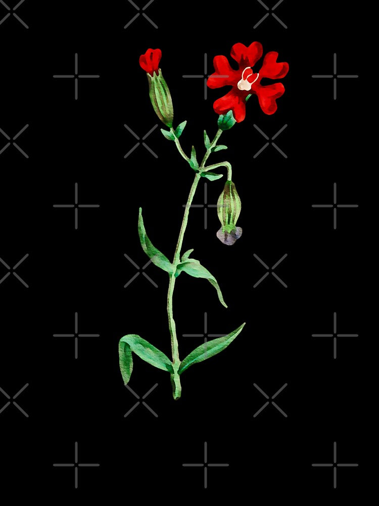Red Flower by MicbellaArt