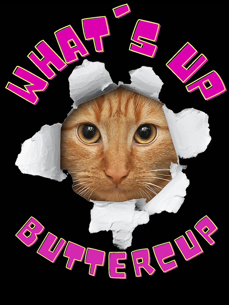 What'S Up Buttercup Cat by DanielleEllis8
