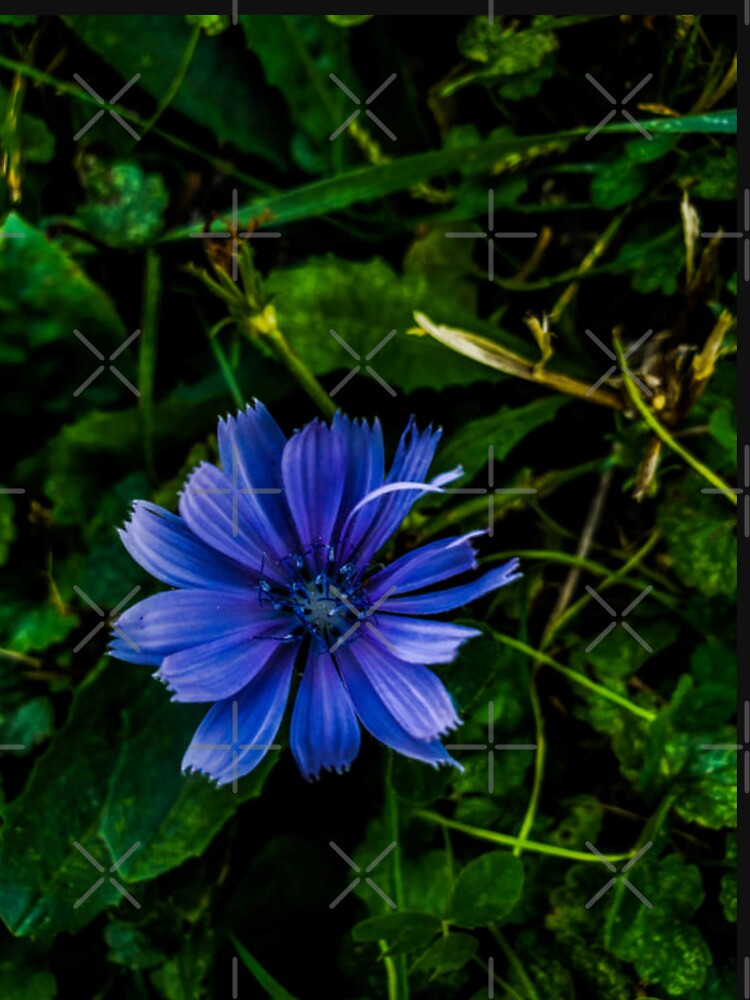 Flower Shirt by J+J Photography