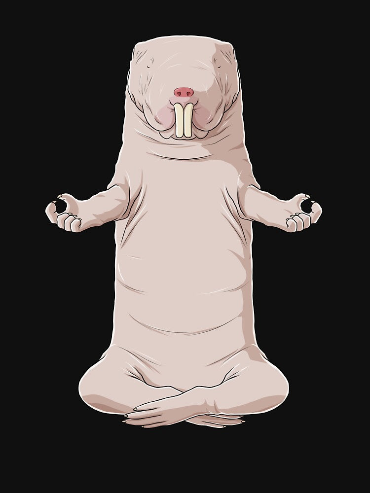 Mole Rat Meditate by alwe-designs