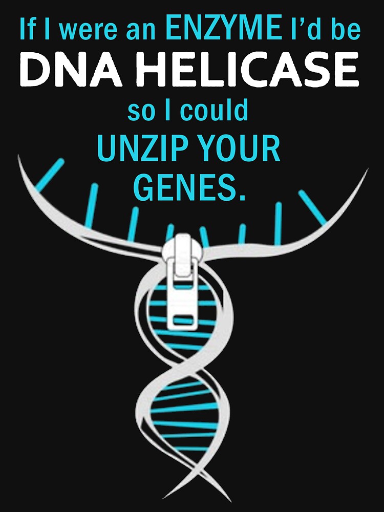 FUNNY BIOLOGY T SHIRT GIFT-IF I WERE AN ENZYME I D BE DNA HELICASE SO I COULD UNZIP YOUR GENES by Anna0908