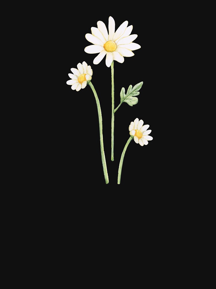 cosmos flower by zaher97