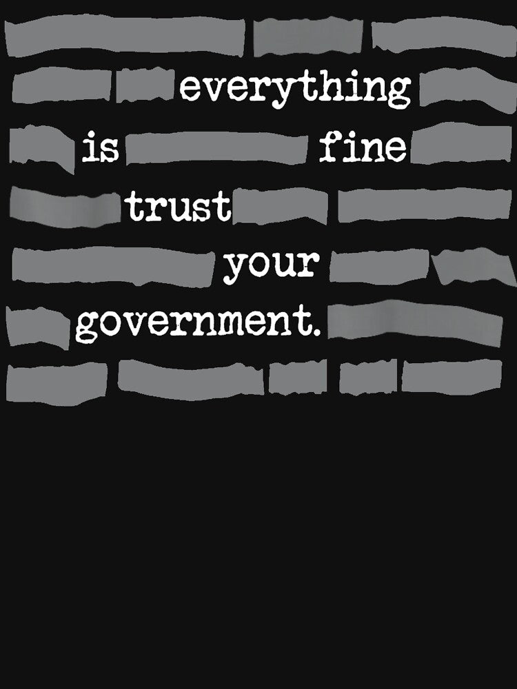 Everything Is Fine Trust Your Government by BingyBongoArt