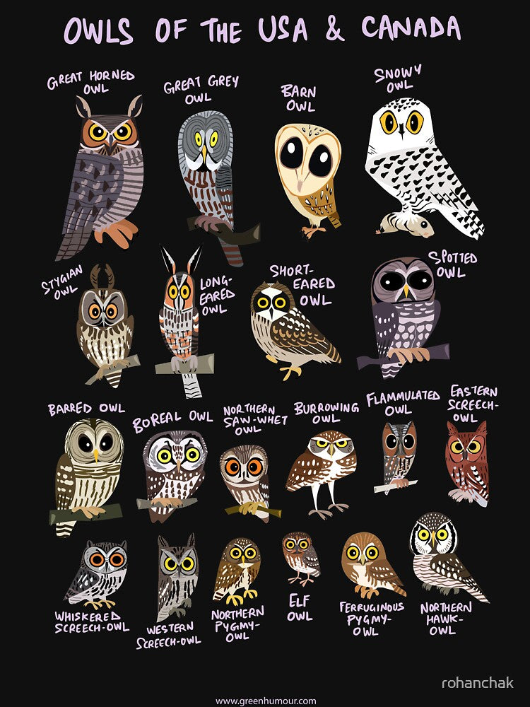 Owls of USA and Canada by Green Humour