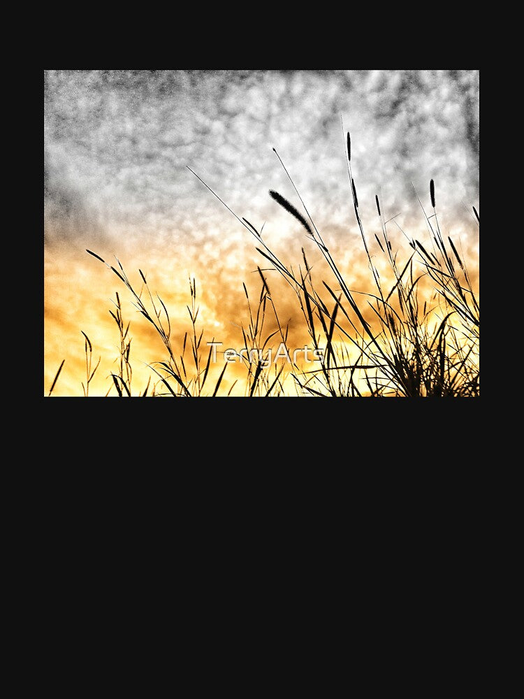 Soft Grunge Style Moody Sky Sunset and Countryside Wild Grass Naturecore Aesthetic by Beachy