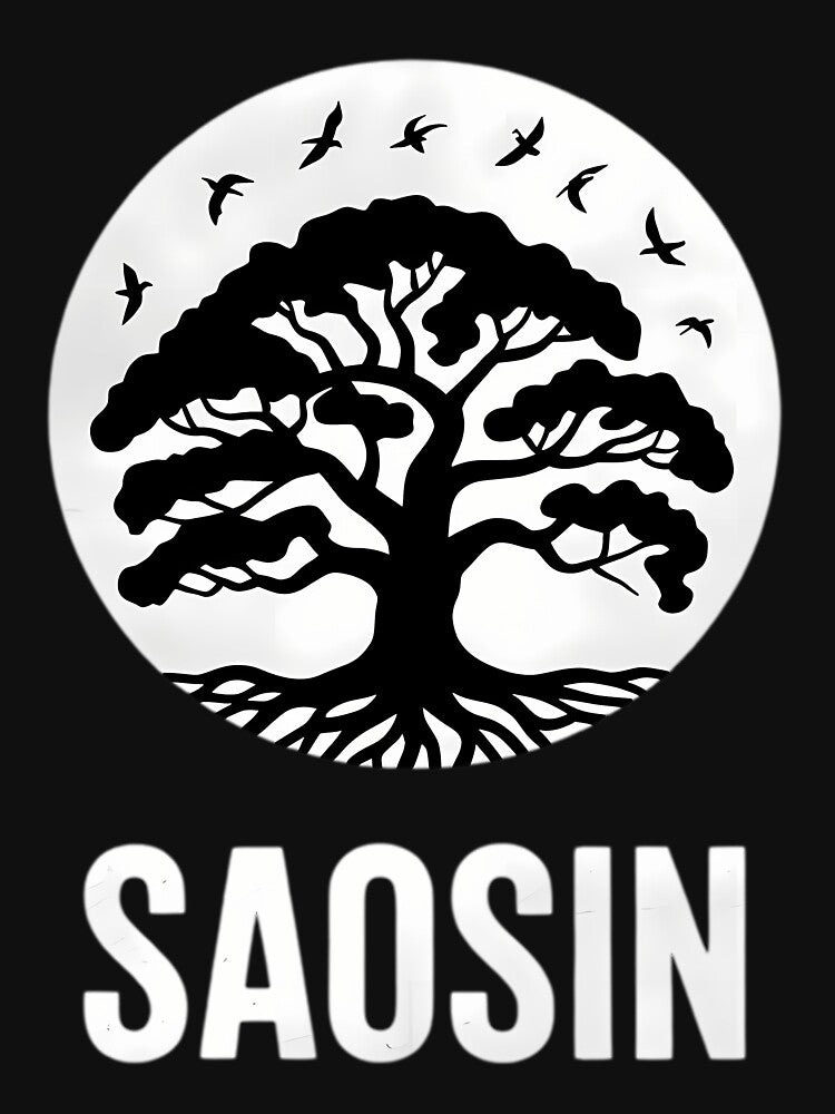 Saosins Rock Band by Robert Hodges