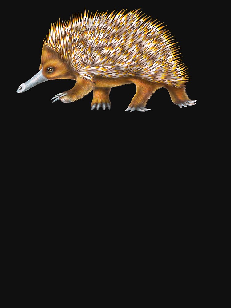 Echidna by TimJeffsArt
